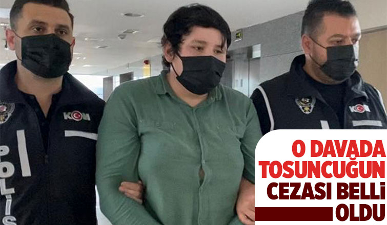 İzinsiz Bank davasında Tosuncuk ve ağabeyine 2 yıl 6 ay hapis