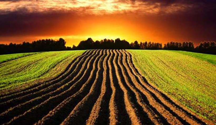 İzinsiz kiralayana hapis cezası