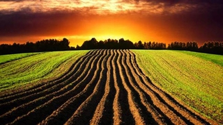 İzinsiz kiralayana hapis cezası