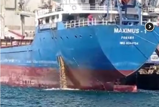 İzmit Körfezi'ni kirleten gemiye 5 milyon lira ceza