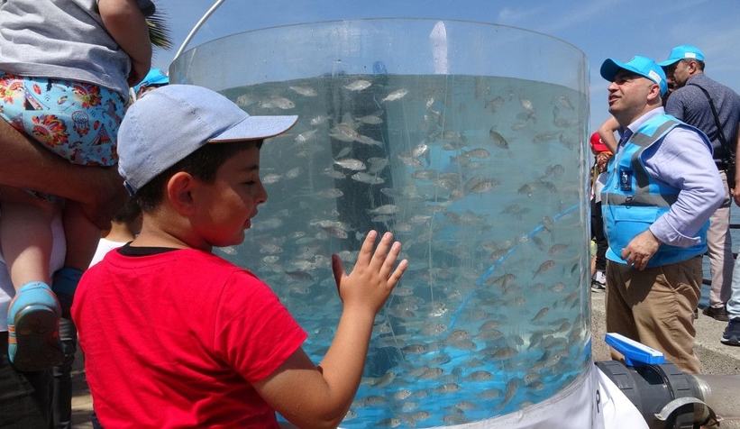 İzmit Körfezi’ne 6 bin balık daha bırakıldı 