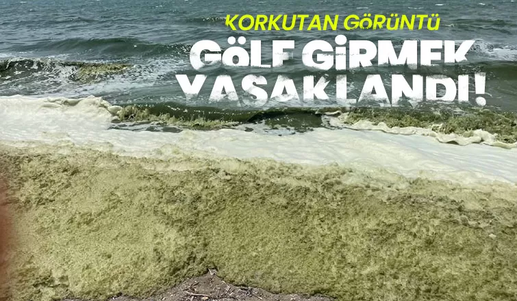 İznik Gölü'nde korkutan gelişme; Girmek yasaklandı