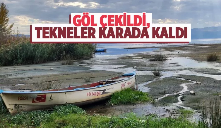 İznik Gölü'nde tehlike çanları çalıyor
