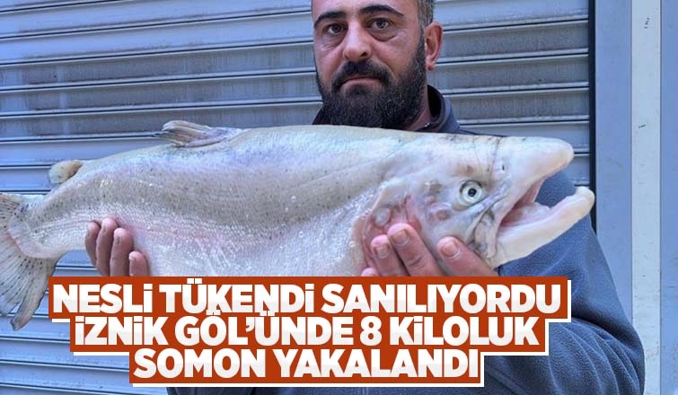 İznik Gölü’nde 8 kiloluk somon yakalandı