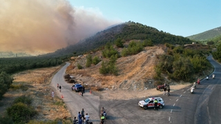İznik'te orman yangını