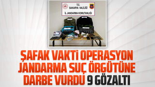 Jandarma suç örgütüne darbe vurdu 9 gözaltı