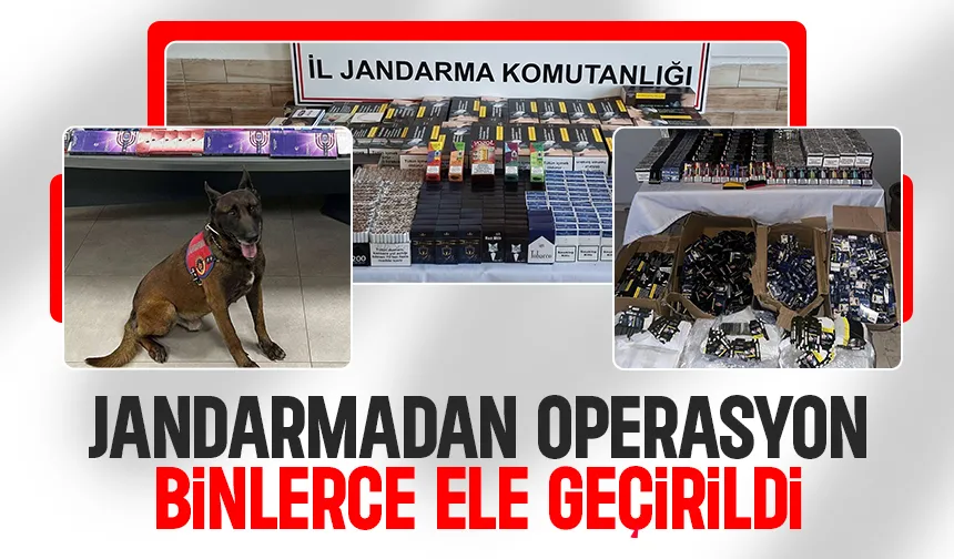 Jandarmadan büyük operasyon