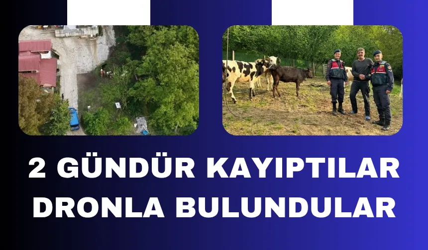 Jandarmadan havadan operasyon; 2 günde bulundular