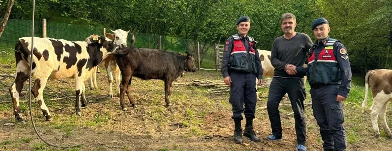 Jandarmadan havadan operasyon; 2 günde bulundular