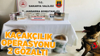 Jandarmadan kaçakçılık operasyonu: 2 gözaltı