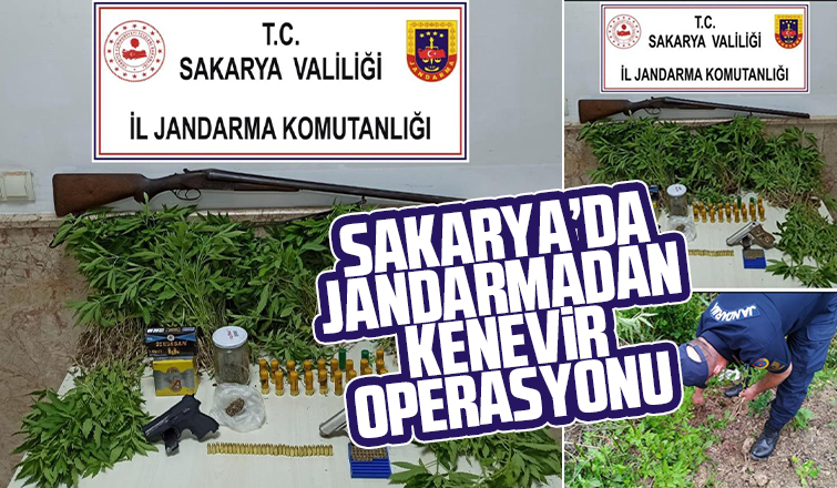 Jandarmadan kenevir operasyonu