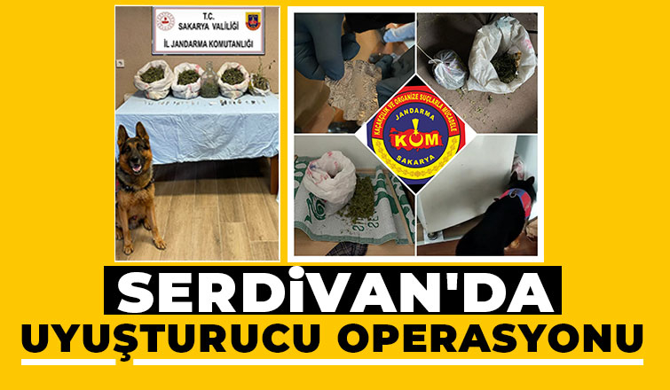  5 kilo esrar ele geçirildi: 1 gözaltı