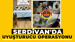  5 kilo esrar ele geçirildi: 1 gözaltı