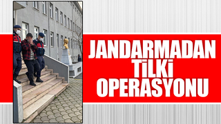 Jandarmadan tilki operasyonu