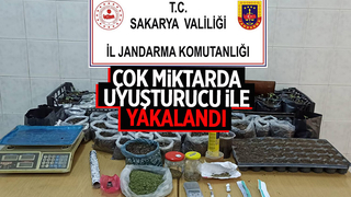 jandarmadan uyuşturucu operasyonu