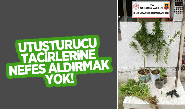 Jandarmadan uyuşturucu operasyonu