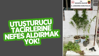 Jandarmadan uyuşturucu operasyonu