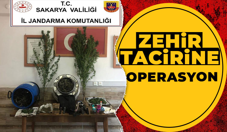 Jandarmadan uyuşturucu operasyonu