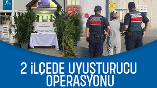 Jandarmadan uyuşturucu operasyonu