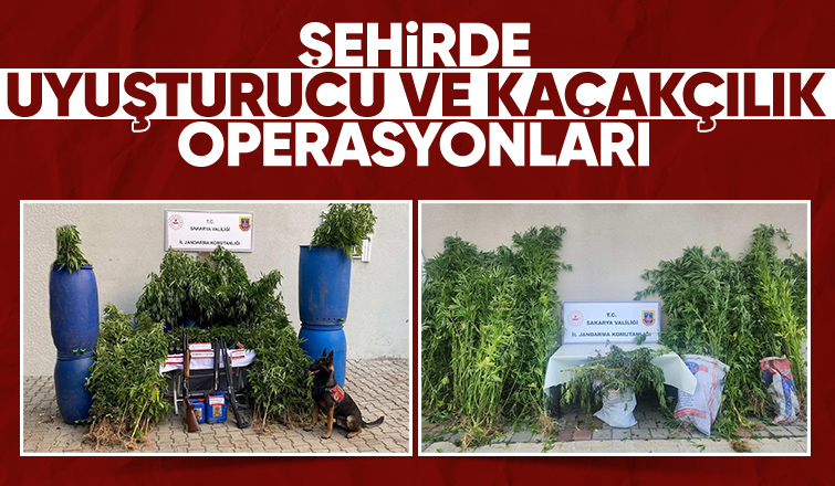 Jandarmadan uyuşturucu ve kaçakçılık operasyonu: 14 tutuklama