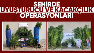 Jandarmadan uyuşturucu ve kaçakçılık operasyonu: 14 tutuklama