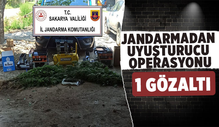 Jandarmadan uyuşturucuya darbe üstüne darbe