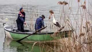 Jandarmadan Yaren leyleğe ziyaret