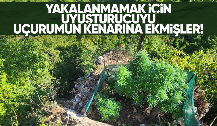 Jandarmadan zehir tacirlerine darbe