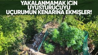 Jandarmadan zehir tacirlerine darbe