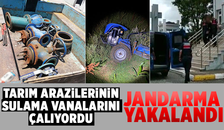 Jandarmanın başarılı operasyonuyla yakalanan şahıs cezaevine gönderildi