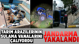 Jandarmanın başarılı operasyonuyla yakalanan şahıs cezaevine gönderildi