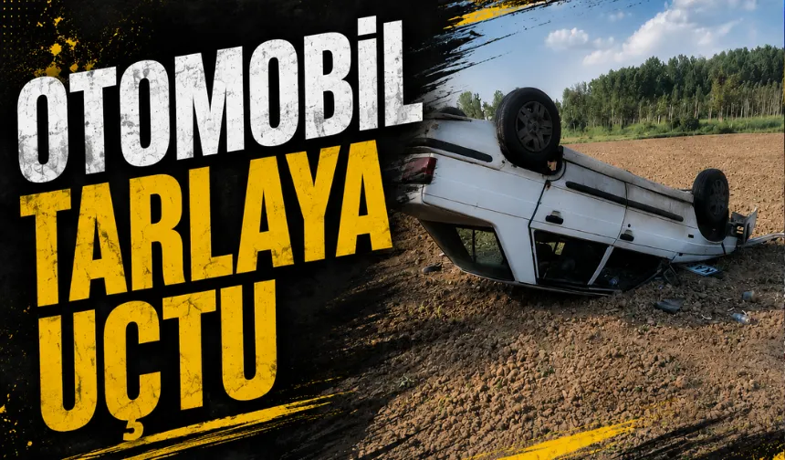 Kabakulak girişinde otomobil tarlaya uçtu