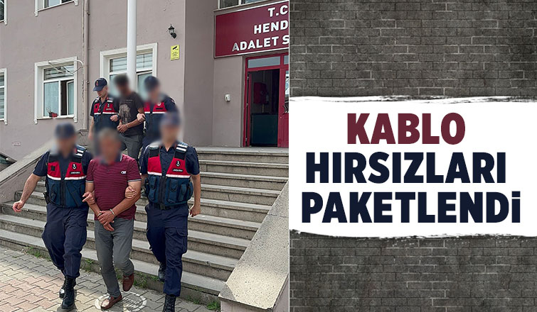 Kablo fareleri yakalandı