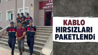 Kablo fareleri yakalandı