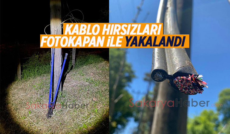 Kablo hırsızları fotokapanla yakalandı