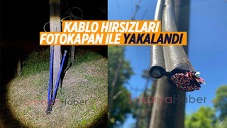 Kablo hırsızları fotokapanla yakalandı
