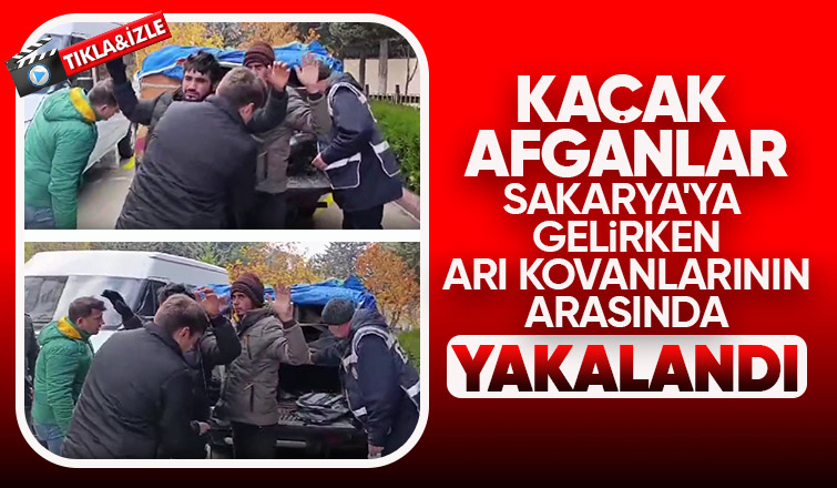 Kaçak Afganlar Sakarya ya gelirken yakalandı