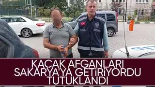 Kaçak Afganları Sakarya'ya getirirken yakalandı