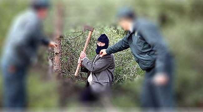 Kaçak ağaç kesip orman muhafaza memurlarına saldırdılar