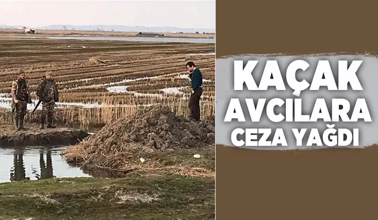 Kaçak avcılara ceza yağdı