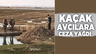 Kaçak avcılara ceza yağdı