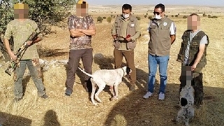 Kaçak avcılara suçüstü