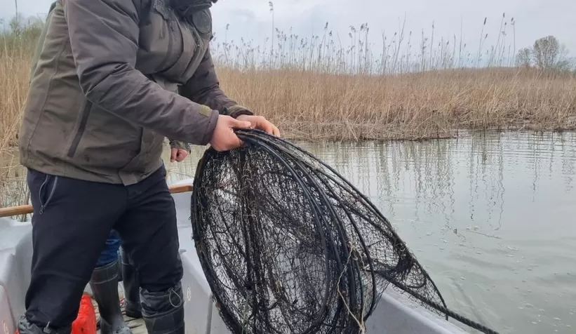 Kaçak avcıların kasnaklarına el konuldu