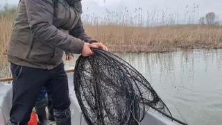 Kaçak avcıların kasnaklarına el konuldu