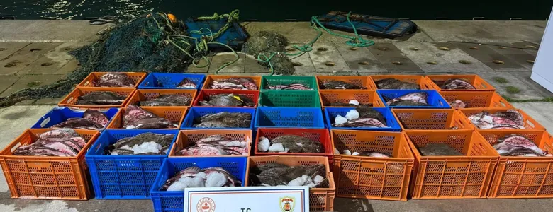 Kaçak avlanan yüzlerce Kalkan balığına el kondu