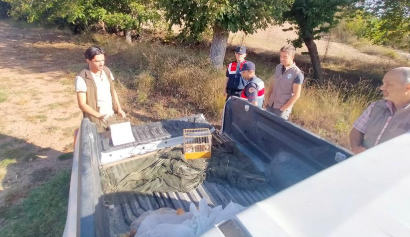 Kaçak doğa kuşu avına suçüstü