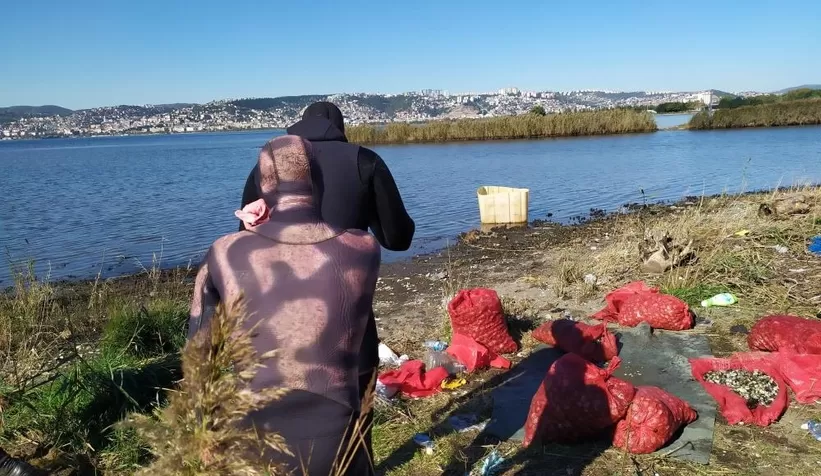 Kaçak midyecilere deniz polisi baskını