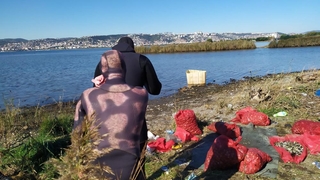 Kaçak midyecilere deniz polisi baskını