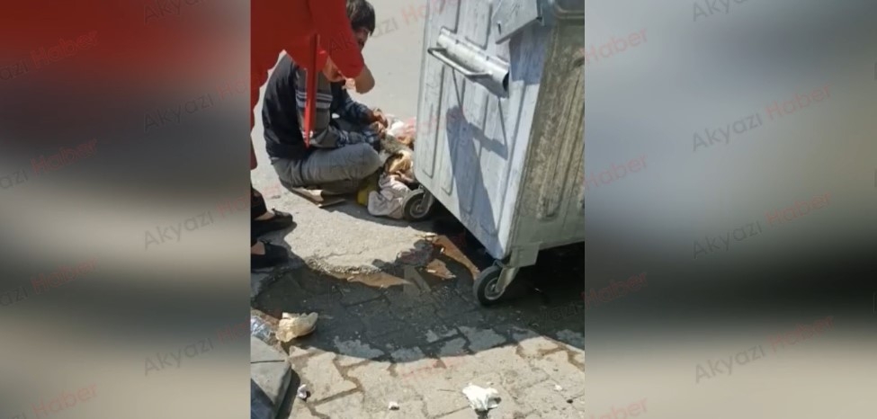 Çöpü karıştırmasına engel olamadı