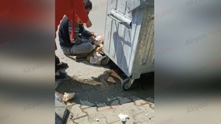 Çöpü karıştırmasına engel olamadı